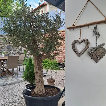 Guest house Kekbazalt Vendeghaz *